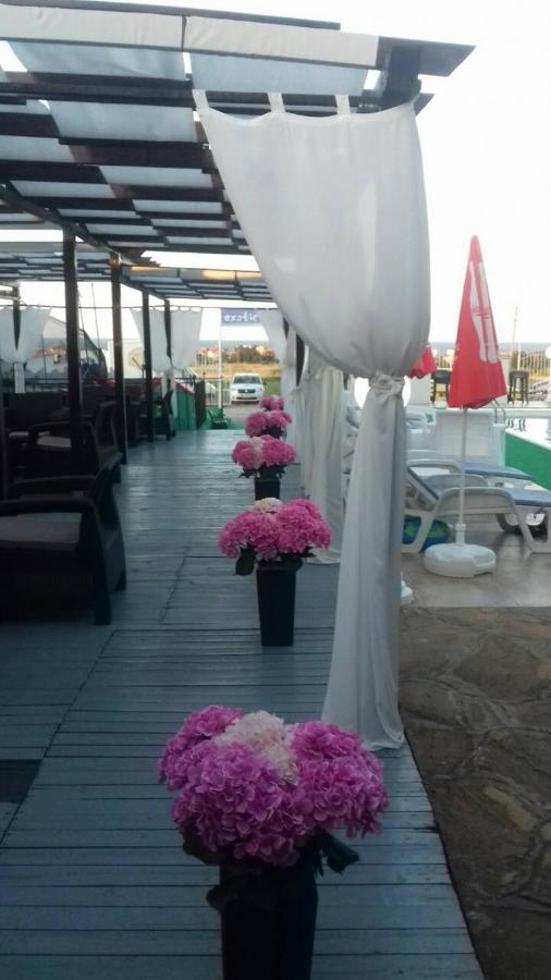 Complex Exotica Hotel Lozenets Eksteriør billede